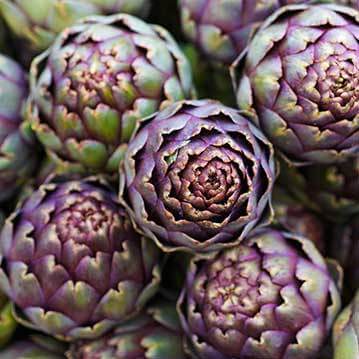 Artichoke Leaf Extract (Altilix)