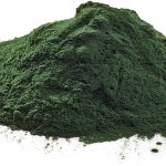 Chlorella