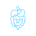 Digestive System