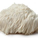 Lion's Mane Extract