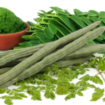 Moringa