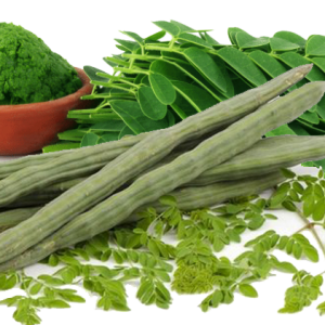 Moringa