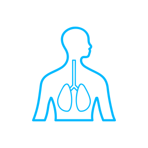 Respiratory System